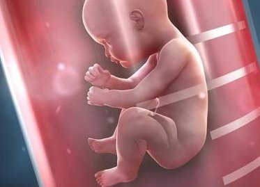 2026在晋城市做基因检测多少钱？基因筛查可以规避哪些遗传病？