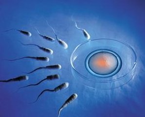 2026年泰国全球医院试管婴儿费用大公开，透明收费让您安心选择！