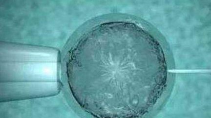 试管婴儿禁吃十大水果！胚胎移植后山楂、桂圆等要慎食